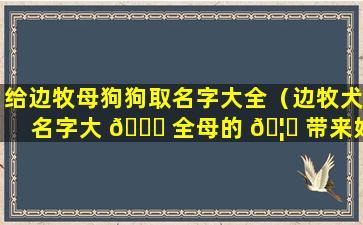 给边牧母狗狗取名字大全（边牧犬名字大 🐞 全母的 🦈 带来好运意义）